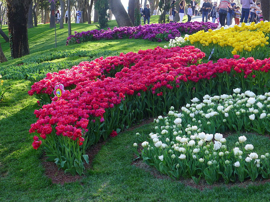 l Tulip time in Istanbul